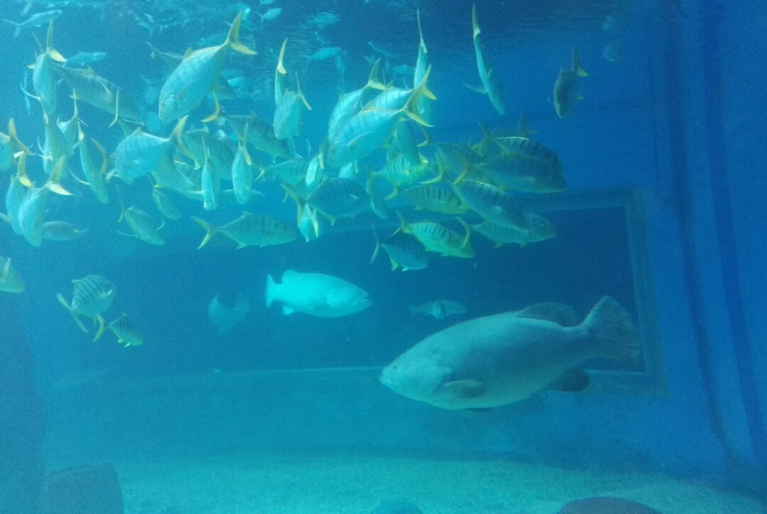 黄金海岸保护区-昌黎县必去景点