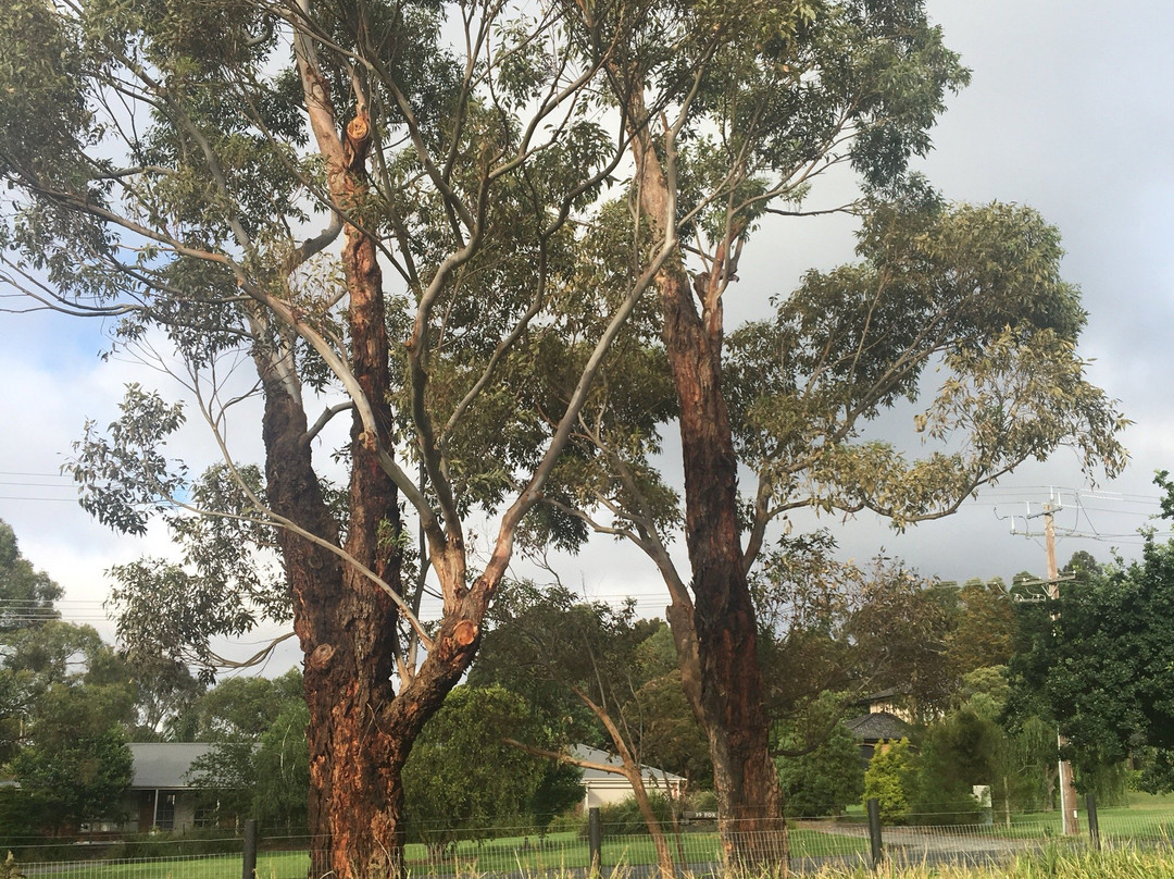 Kalora Park Oval-Narre Warren必去景点