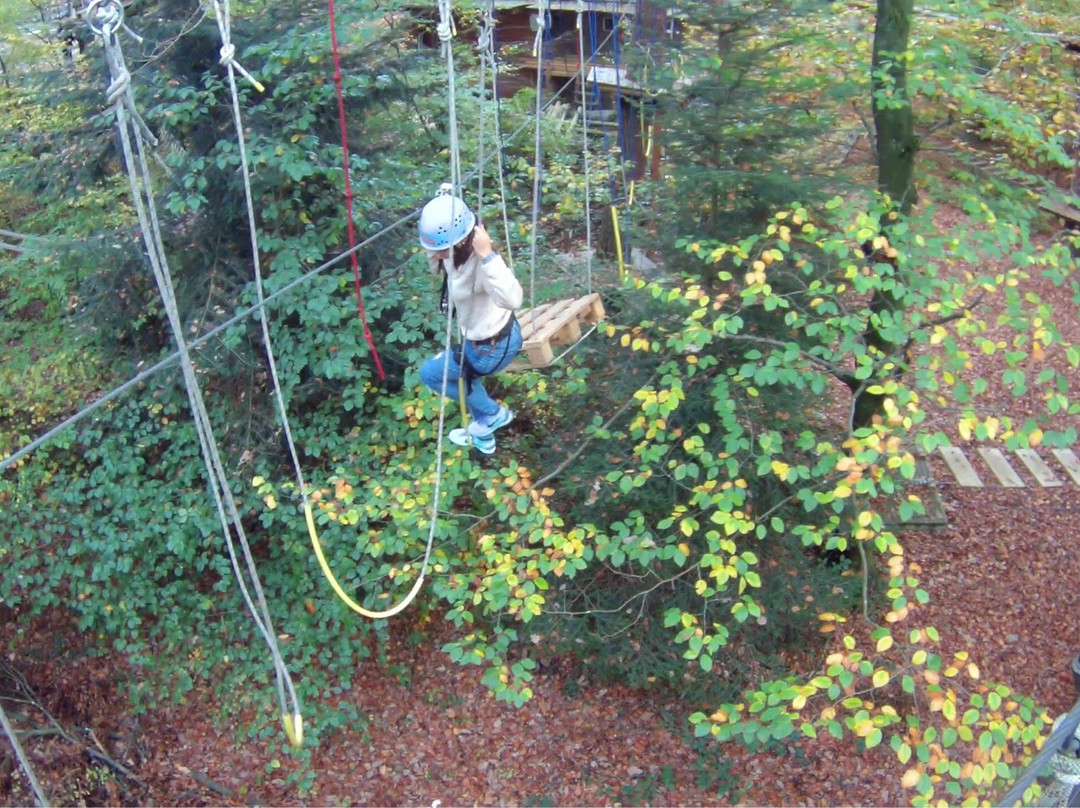 Fun Forest Abenteuerpark Kandel景点图片