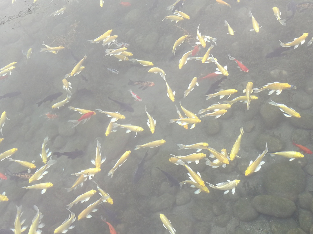 黑龙洞风月关-邯郸市必去景点