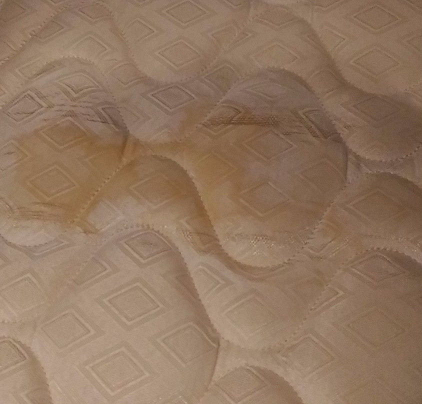 梦幻公寓公寓主图