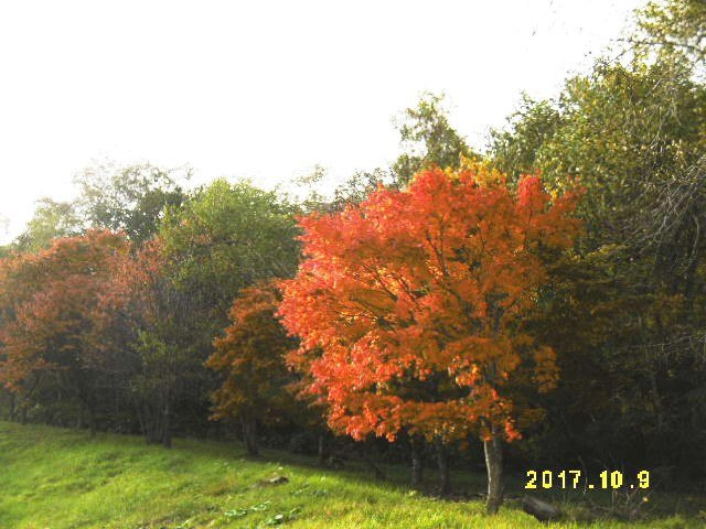Lake Sahoro-新得町必去景点
