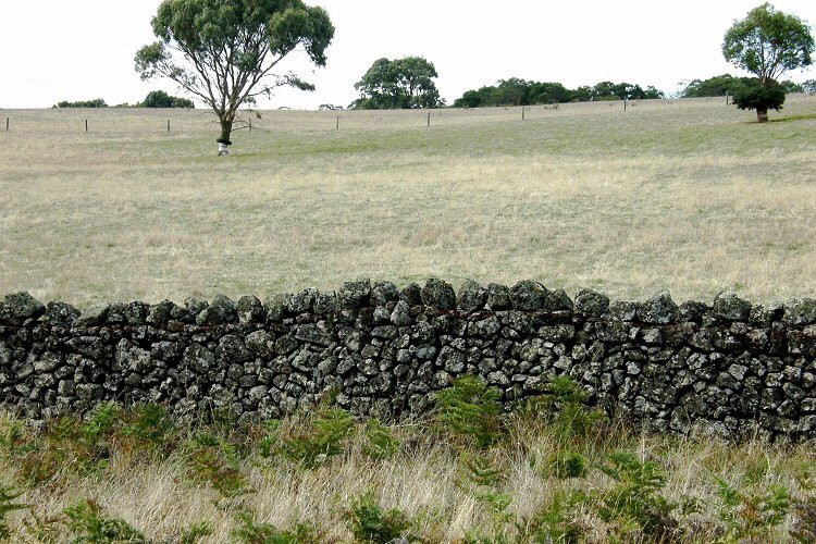 Lake Corangamite-科拉克必去景点