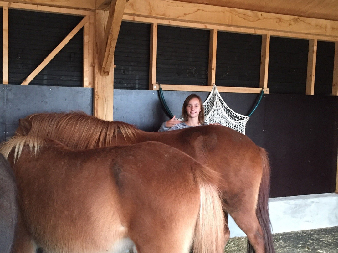 Boerenhofstede De Overhorn主图