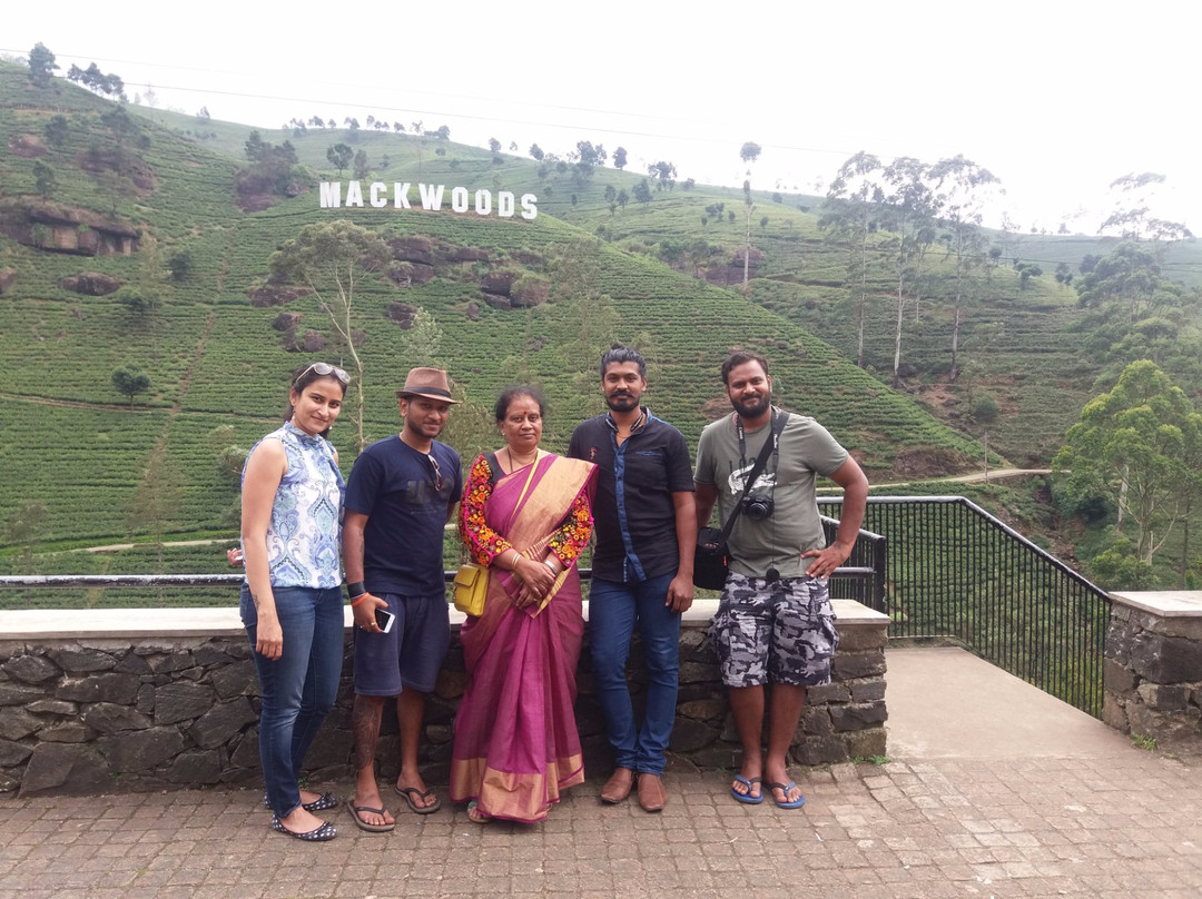 Tours For Sri Lanka景点图片