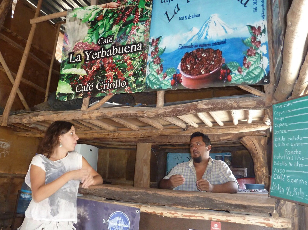 Meshico Magical Tours-Comala必去景点