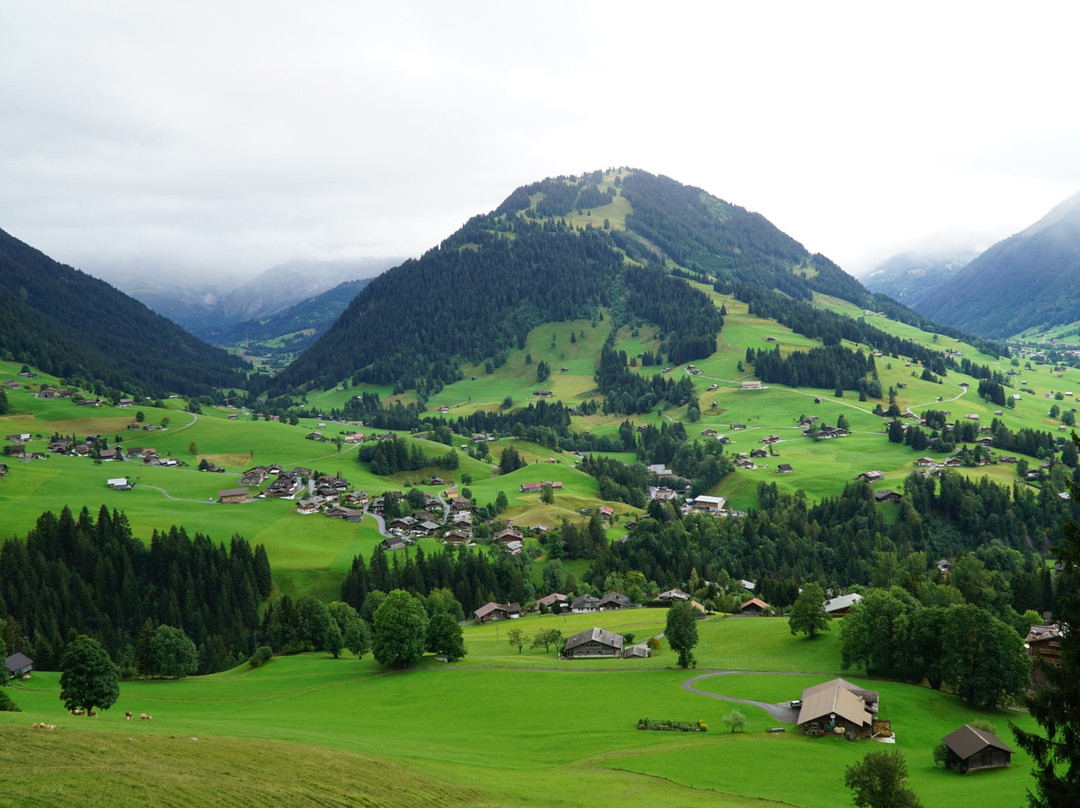 Horneggli - Hornberg - Rinderberg景点图片