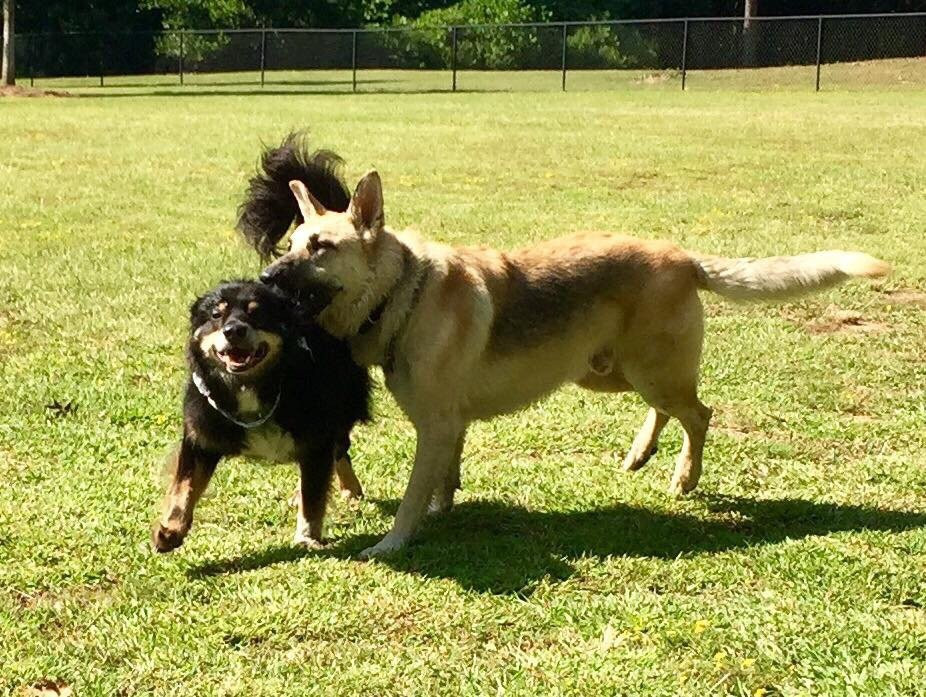 Cooter's Pond Park-Prattville必去景点