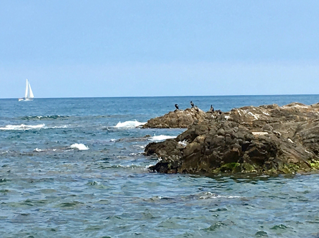 Plage du Racou景点图片