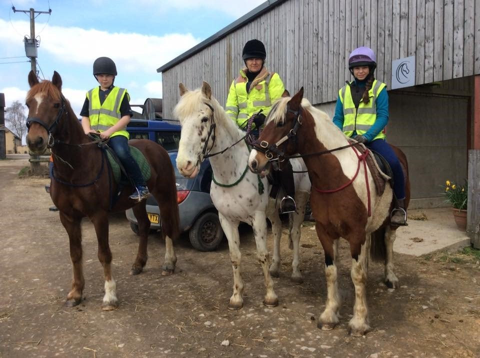 Pioneer Equestrian Coaching-莫顿因马什必去景点