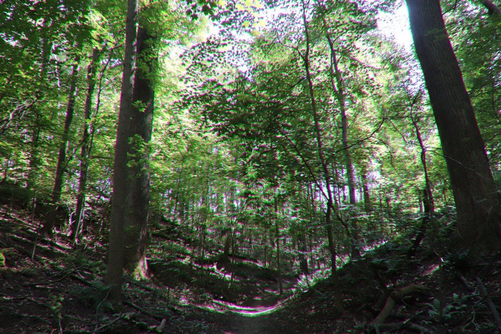 St. Johns Conservation Area-Thorold必去景点