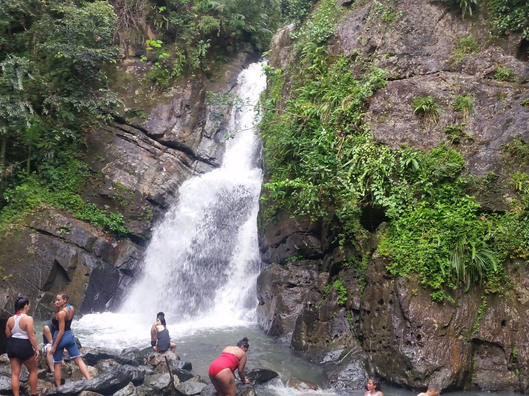 Catarata La Mina-云盖国家森林公园必去景点