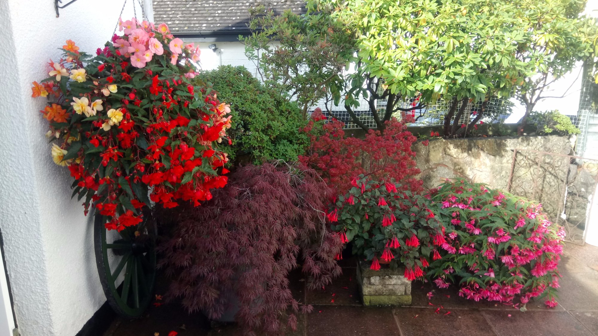 The Old Farmhouse-浴室