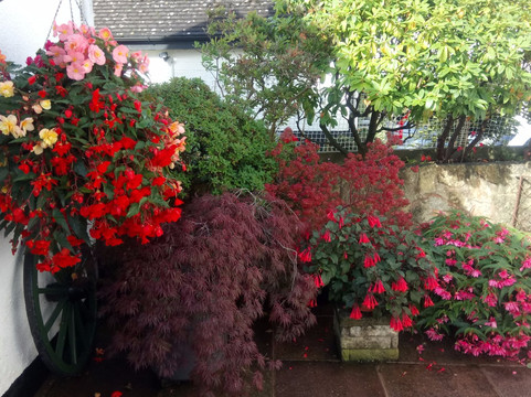 The Old Farmhouse主图