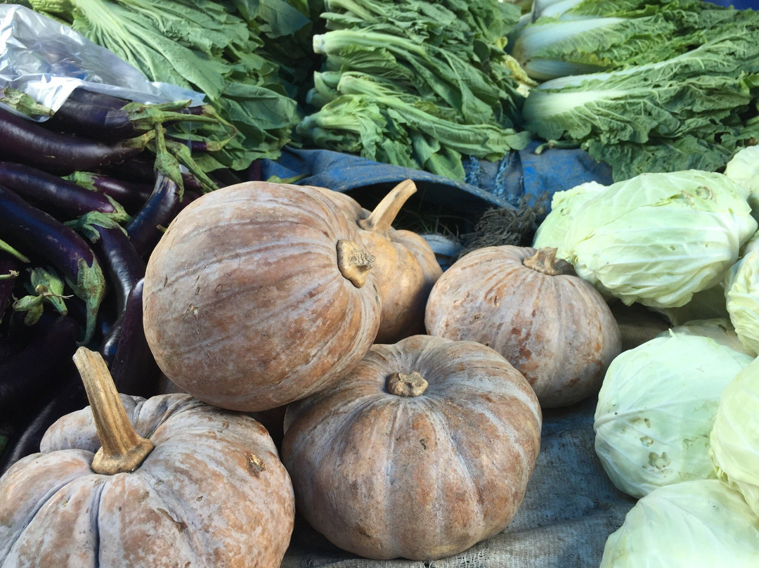 Bukit Lawang Friday Market-武吉拉旺必去景点