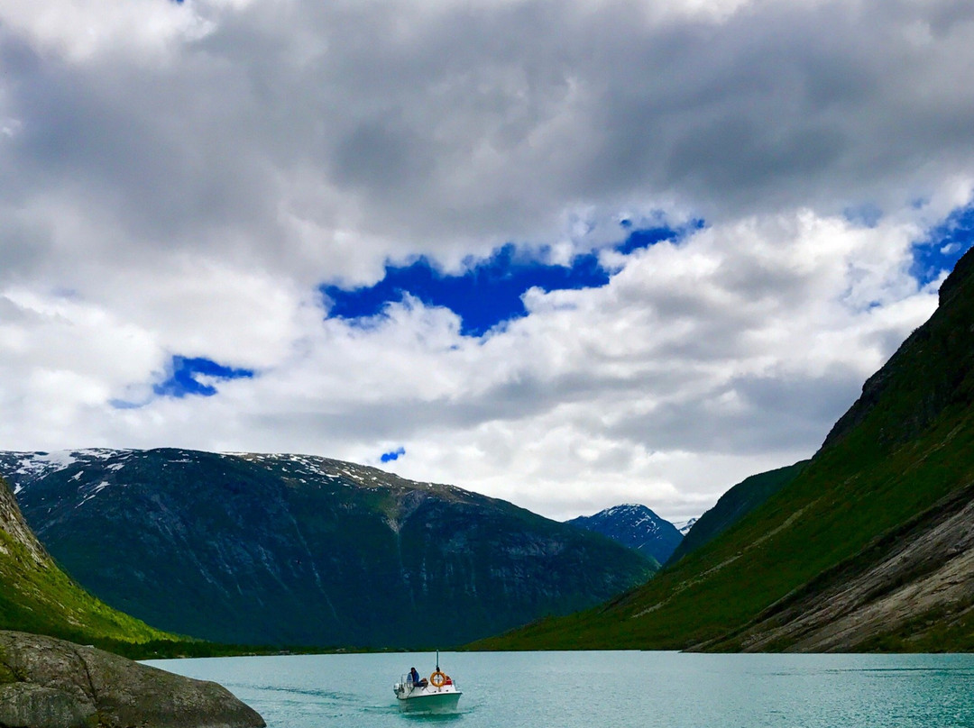 Norgesguidene Day Tours景点图片