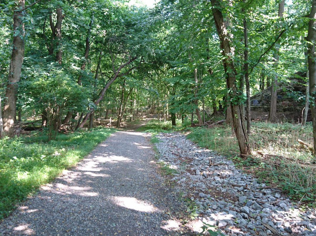 Twin Lakes Park景点图片