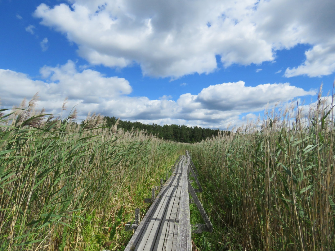 Hjälstaviken Naturreservat-Enkoping必去景点