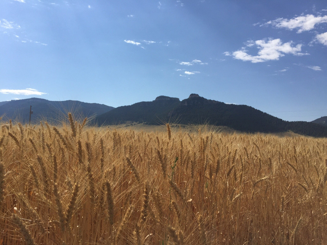 Pryor Mountains-比灵斯必去景点