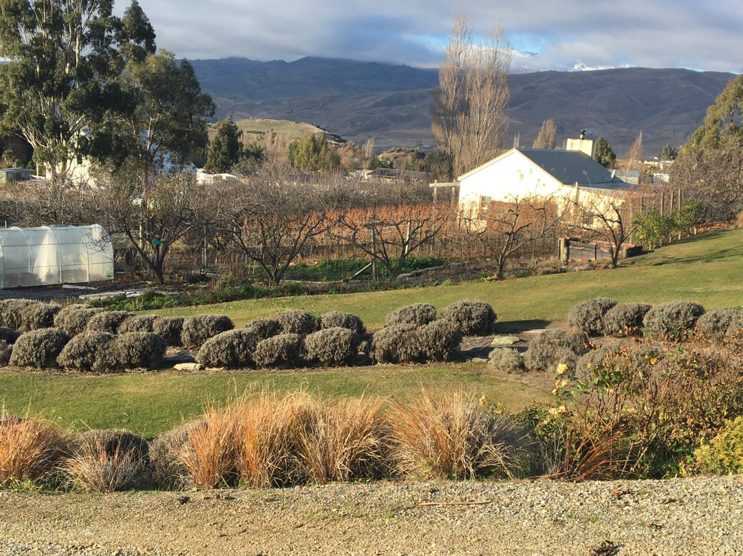 Bannockburn旅游攻略图片