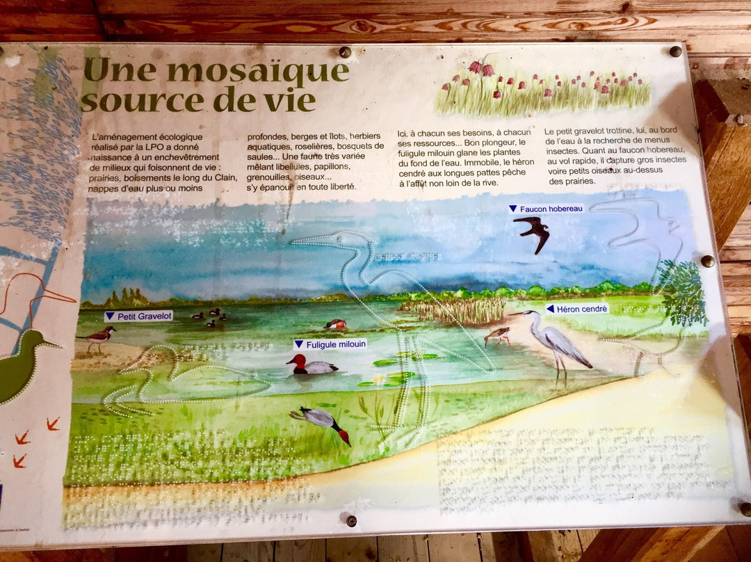 Parc de Saint Cyr景点图片