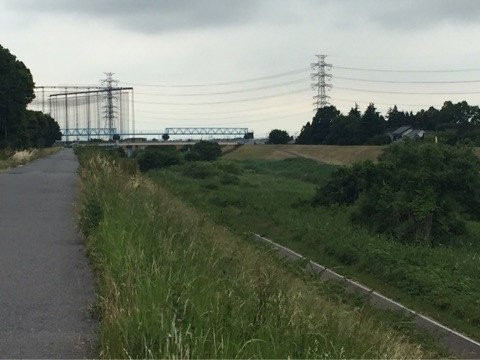 Tone Canal-流山市必去景点