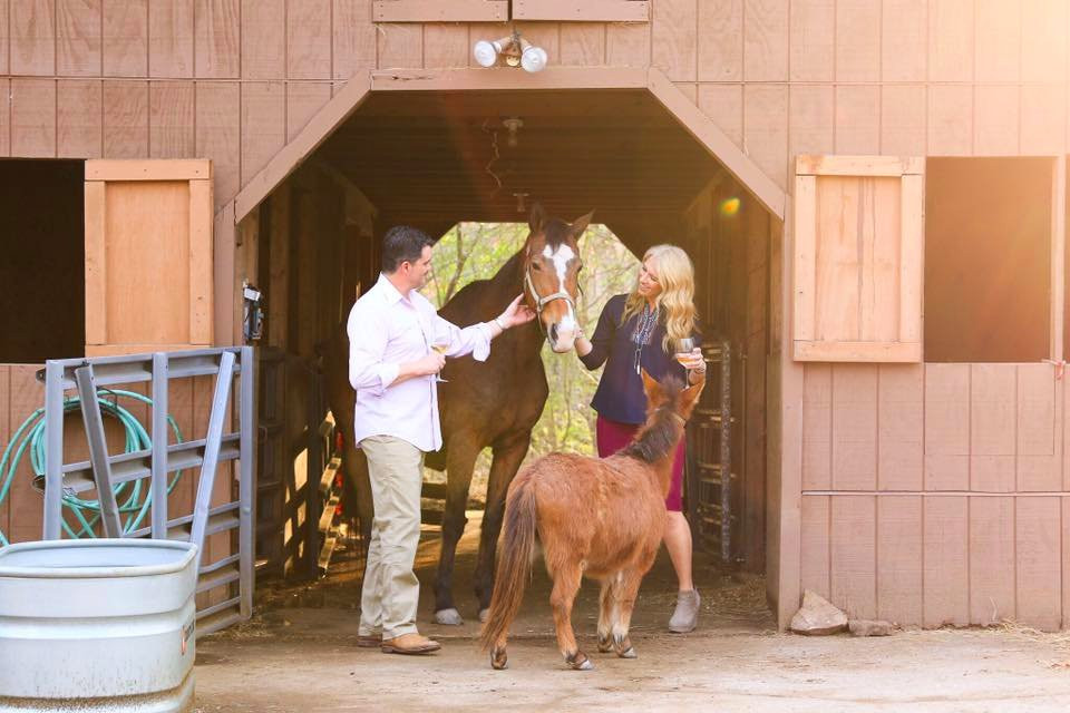 Cat-n-Bird Winery-Chelsea必去景点