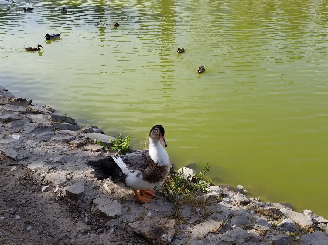 Parque de la alhondiga-赫塔费必去景点