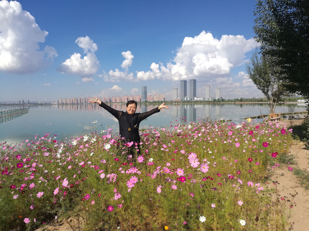 康巴什旅游区-鄂尔多斯市必去景点