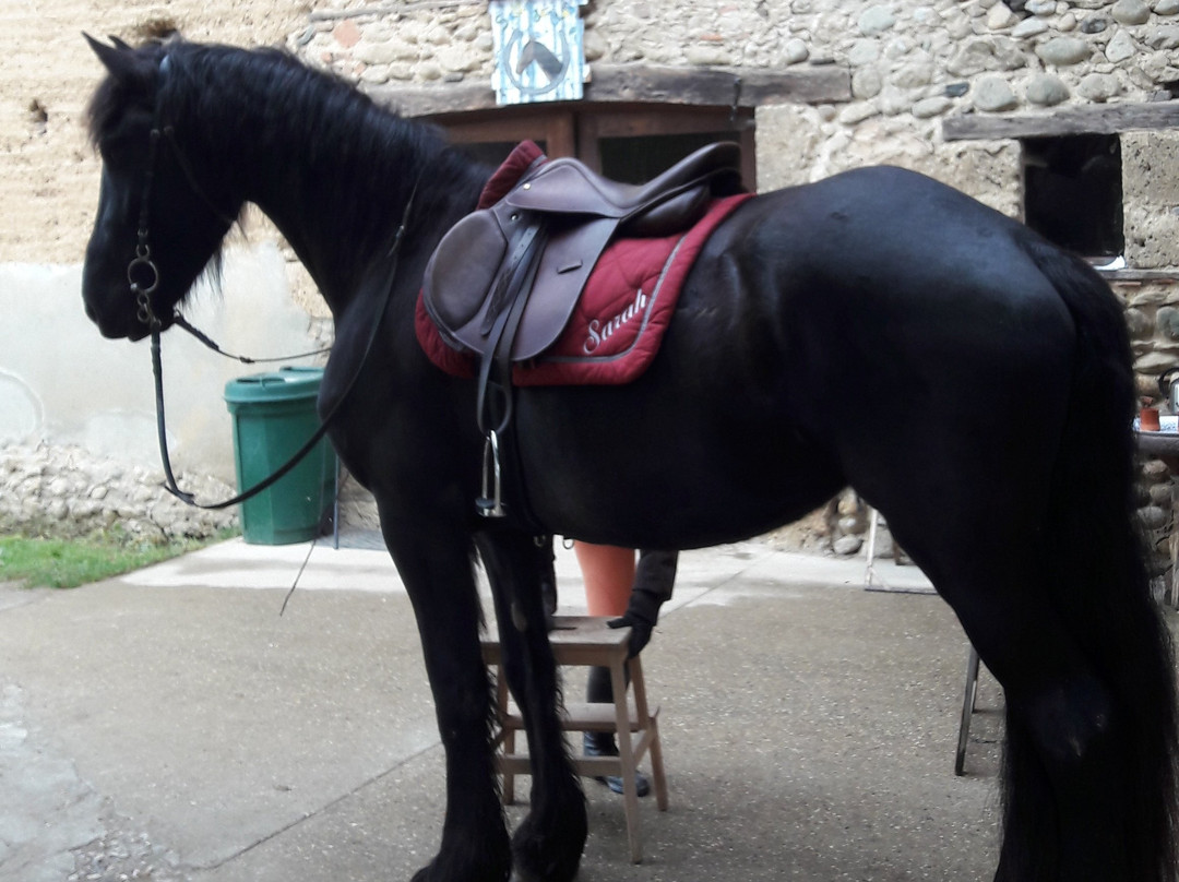 Centre equestre La Cavalcade景点图片