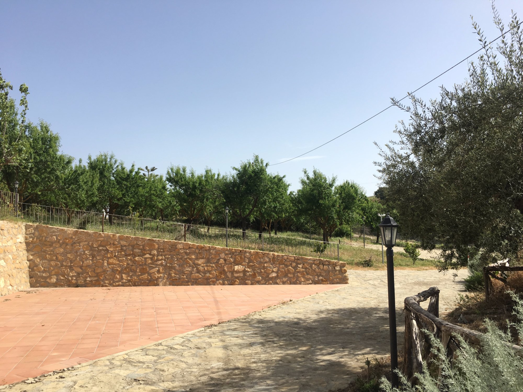 Agriturismo Caramazza-酒店景观