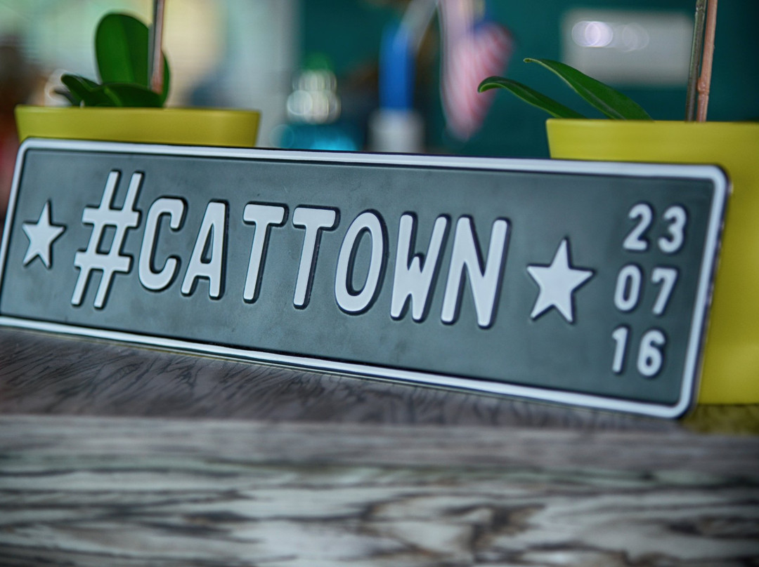 Cat Town景点图片