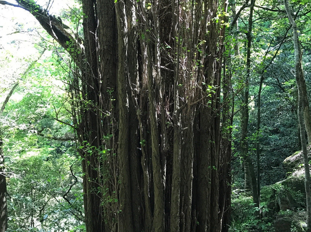 天姥山-新昌县必去景点