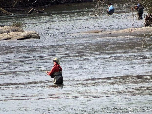 Jones Bridge Park-诺克罗斯必去景点