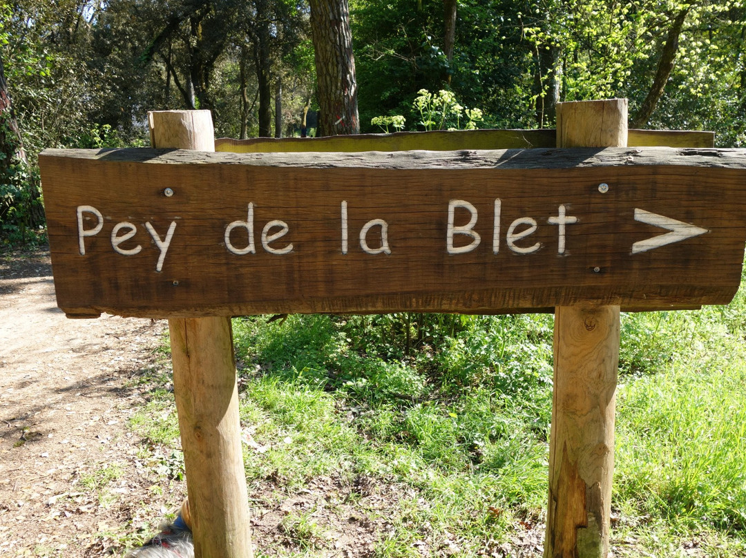 Pey de la Blet景点图片