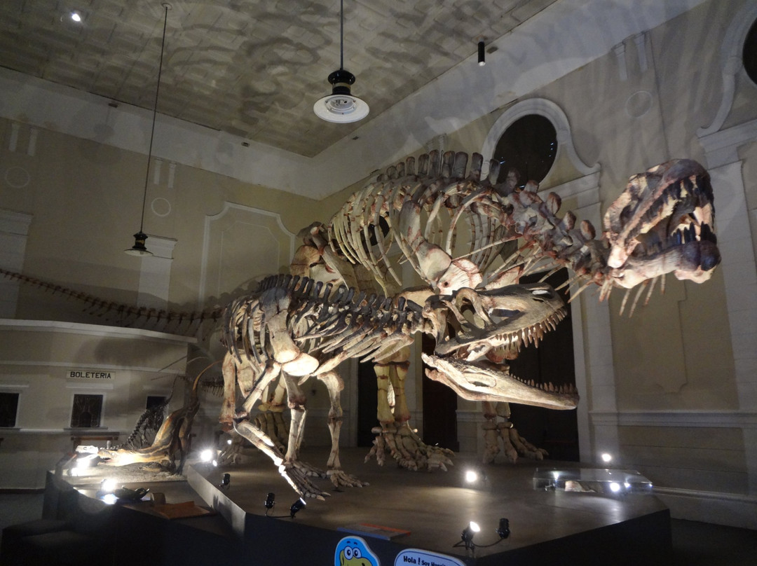 Museo de Ciencias Naturales景点图片