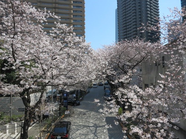 Spain-zaka-Roppongi必去景点
