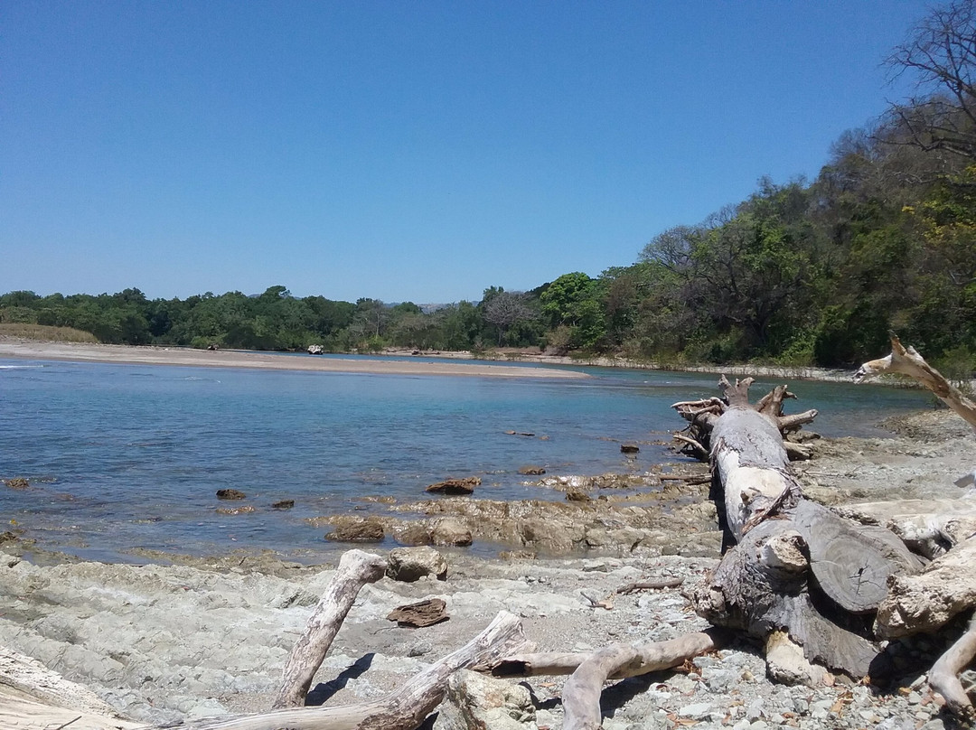 Playa Buena Vista景点图片