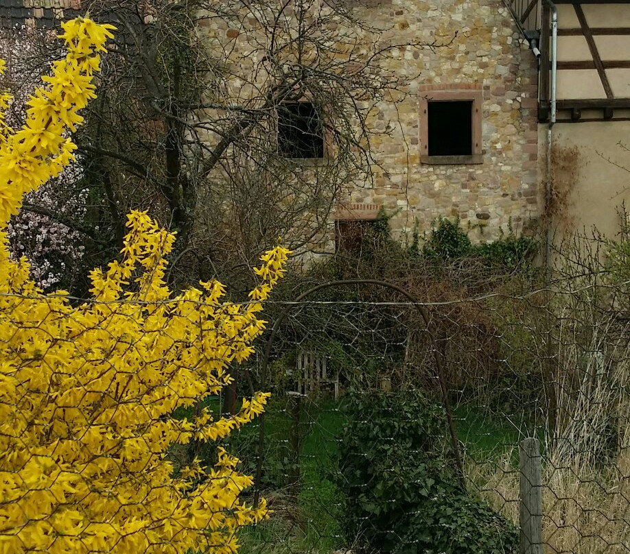 La Maison des Sorcieres景点图片