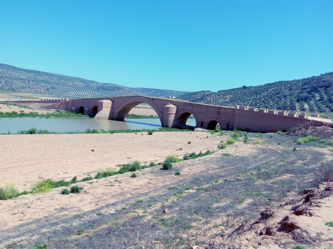 Puente de Ariza景点图片