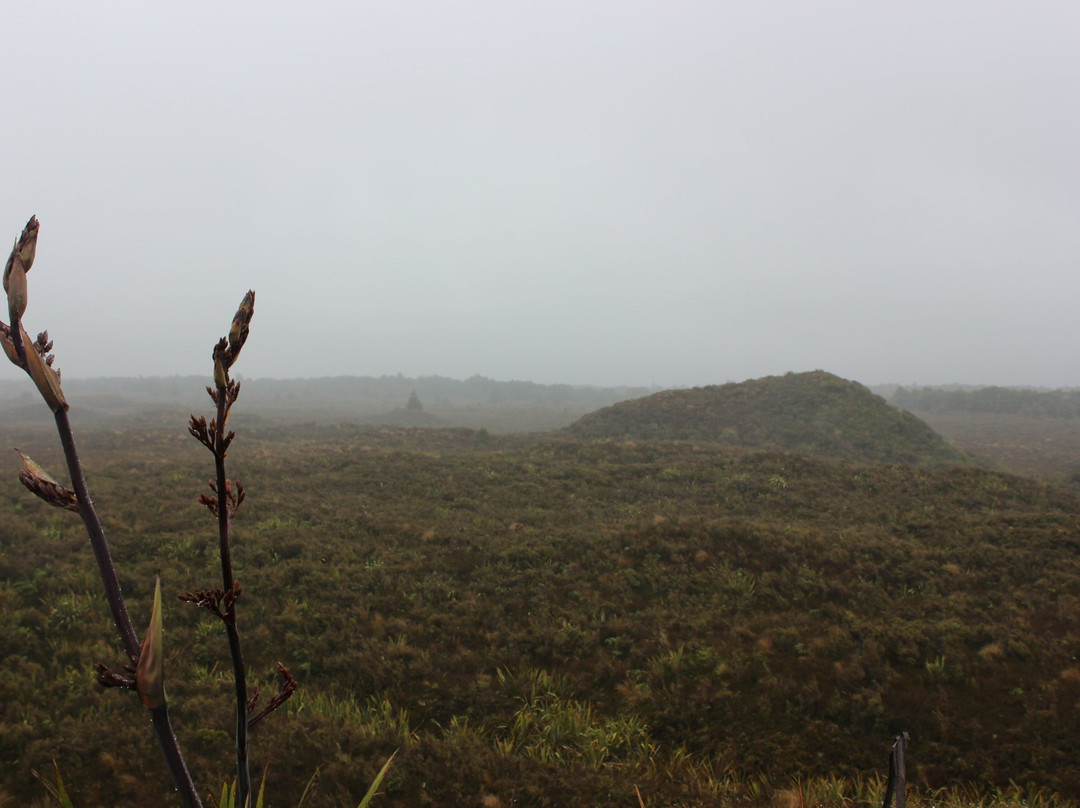 Mounds Walk景点图片