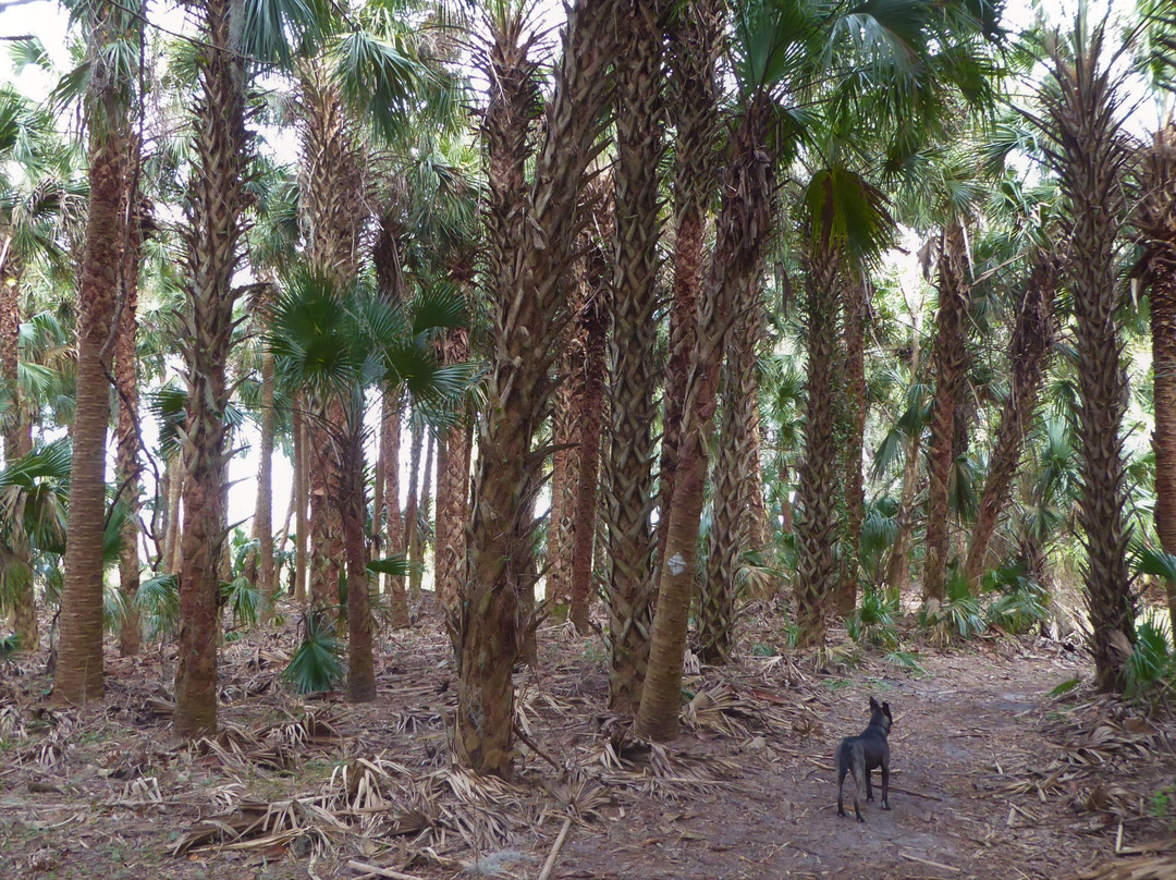 Lake Jesup Conservation Area-Oviedo必去景点