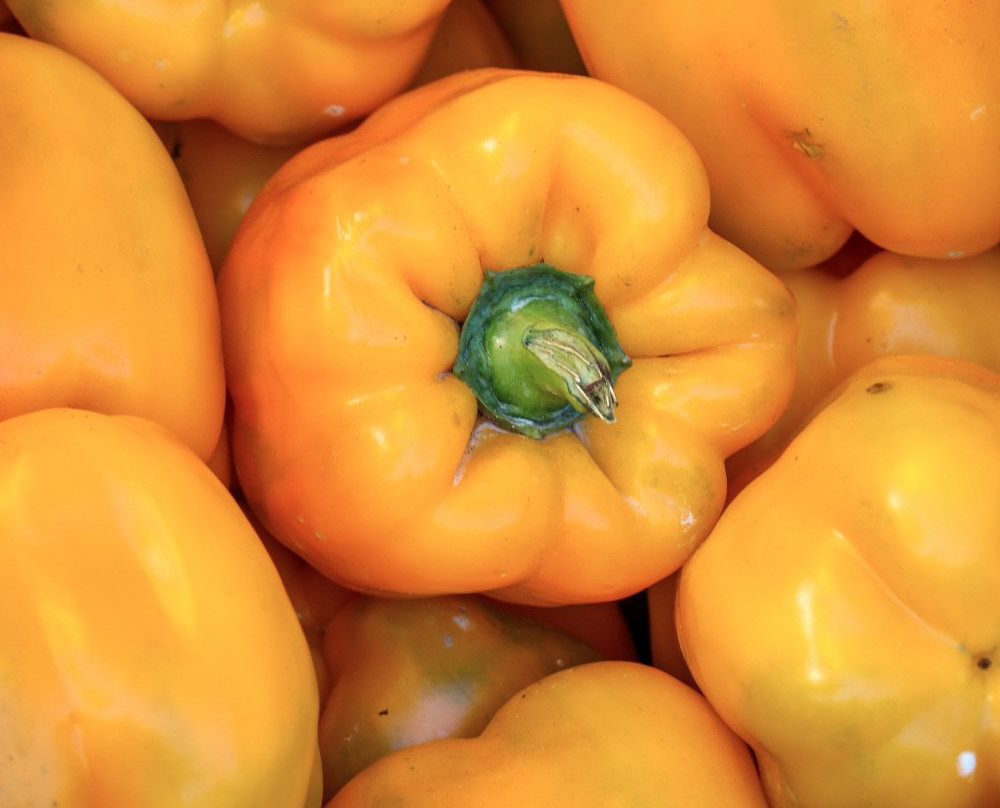 Immokalee State Farmers' Market-Immokalee必去景点