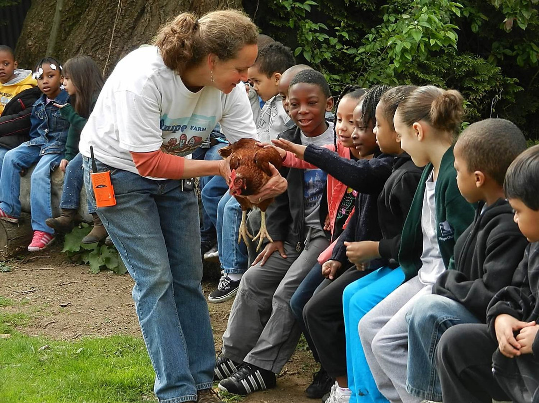 Snipes Farm & Education Center-Morrisville必去景点