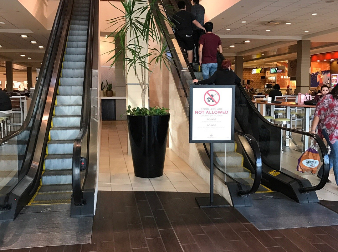 La Palmera, Corpus Christi-科珀斯克里斯蒂市必去景点