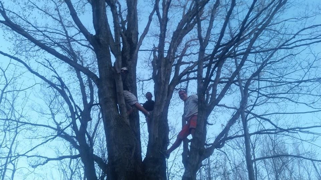 Highbridge Hills Sports Complex-Washburn必去景点