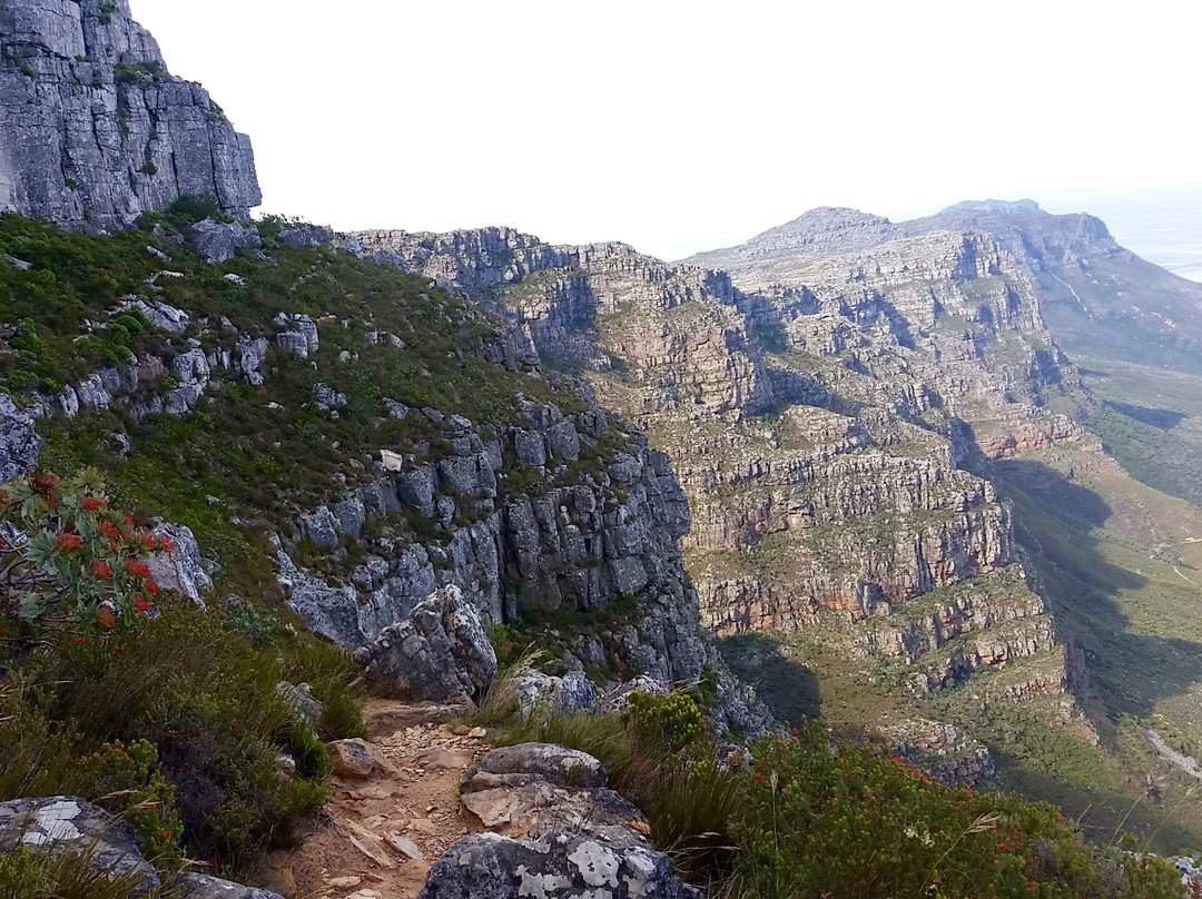 Hike Addicts-开普敦中心区必去景点