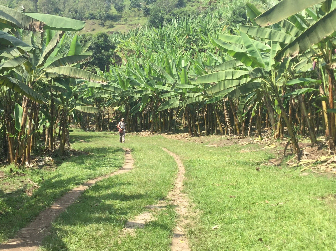 Congo Nile Trail景点图片