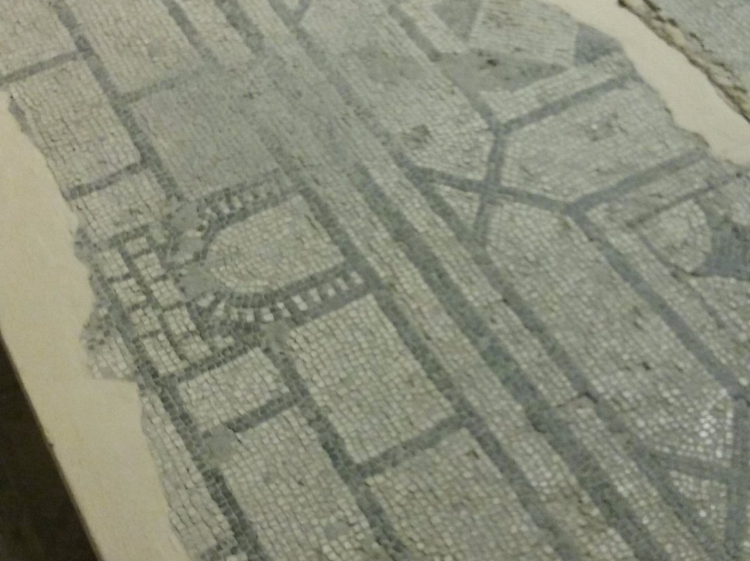 MAF - Museo Archeologico Civico Tobia Aldini-Forlimpopoli必去景点