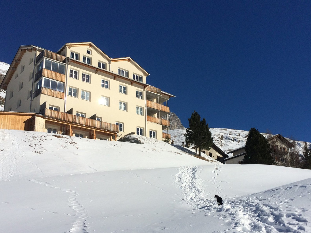 Marmorera酒店住宿-Hotel & Restaurant Capetta